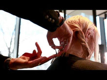 Load and play video in Gallery viewer, Kasho Sagana Scissors